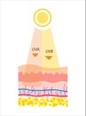 Flat Vector illustration of UVB and UVA radiation